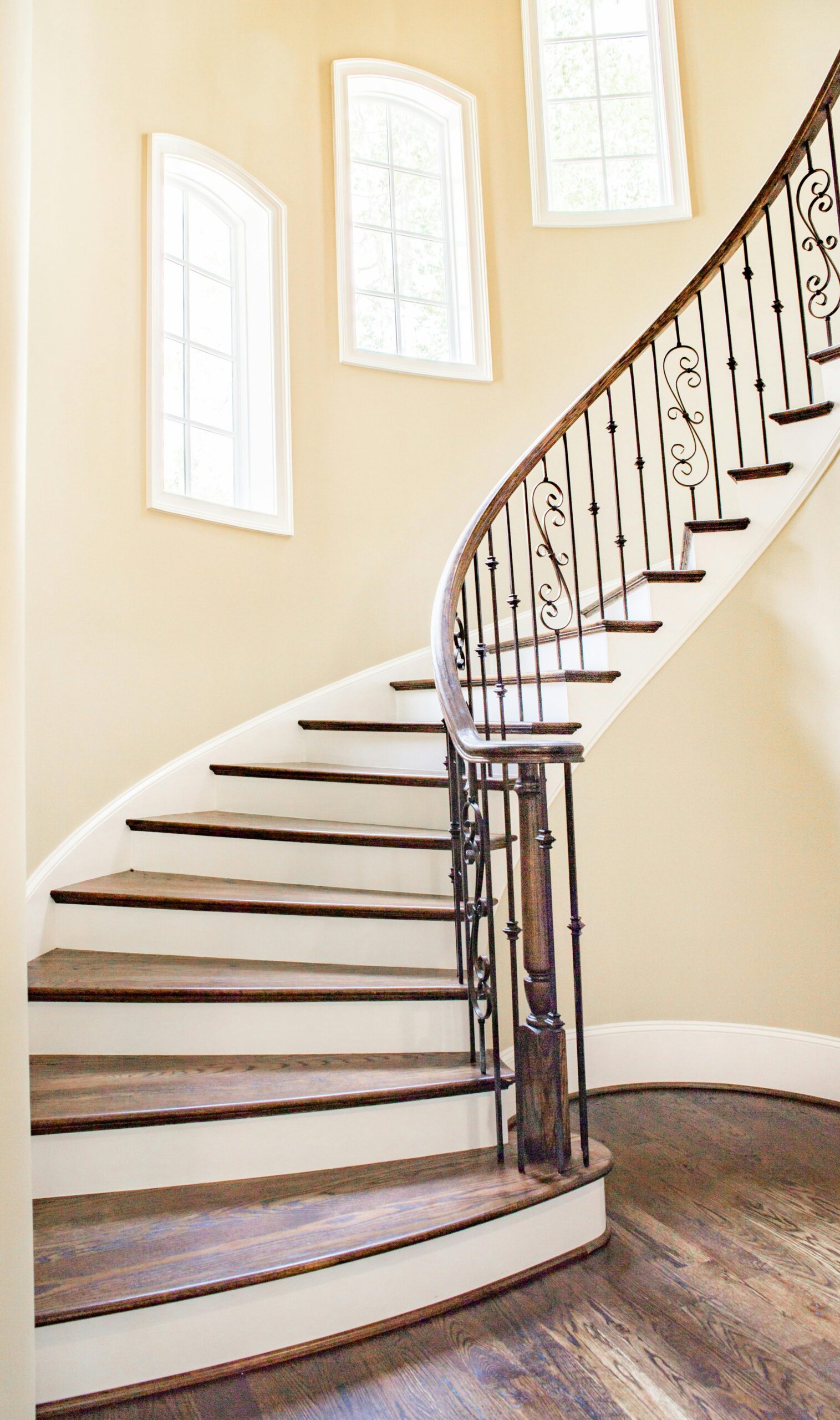 Images for website (38)